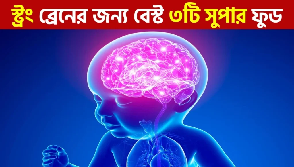 বাচ্চাদের মস্তিষ্ক বিকাশে সেরা ৩ সুপার ফুড: ডার্ক চকলেট, মেথি শাক ও জাম | Tips for child brain health