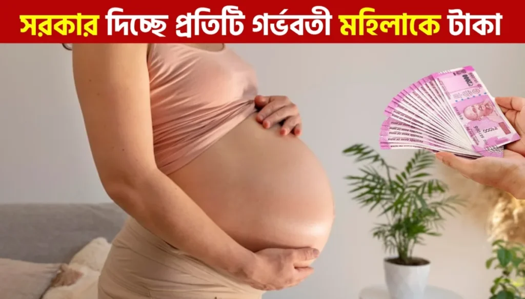 প্রধানমন্ত্রী মাতৃ বন্দনা, অঙ্গনওয়াড়ি লাভারথি ও জননী সুরক্ষা যোজনা: গর্ভবতী মহিলাদের জন্য সম্পূর্ণ গাইড | Women Scheme